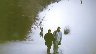 Operacija Tvigi 94